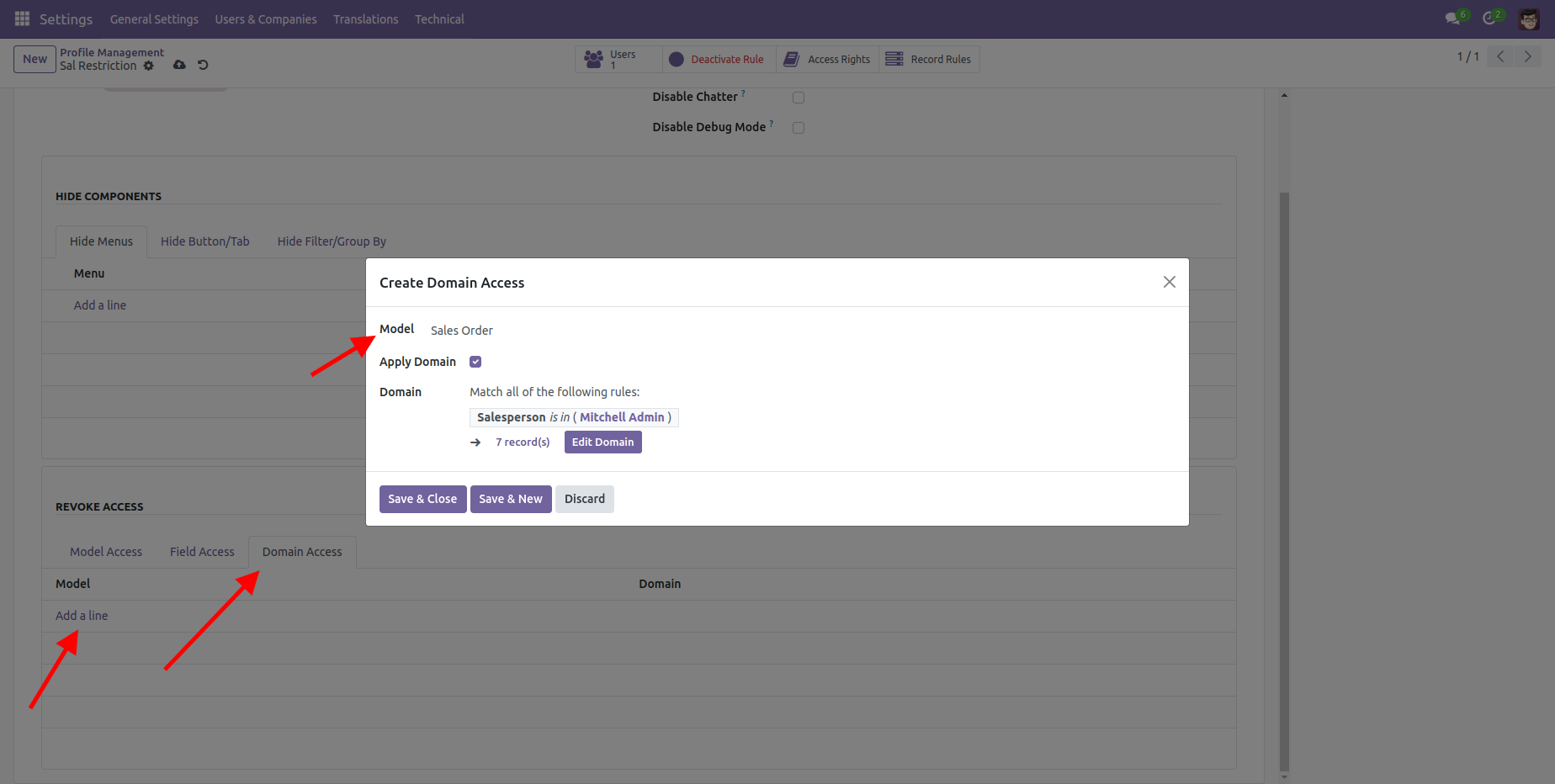 Domain Access Management in Odoo