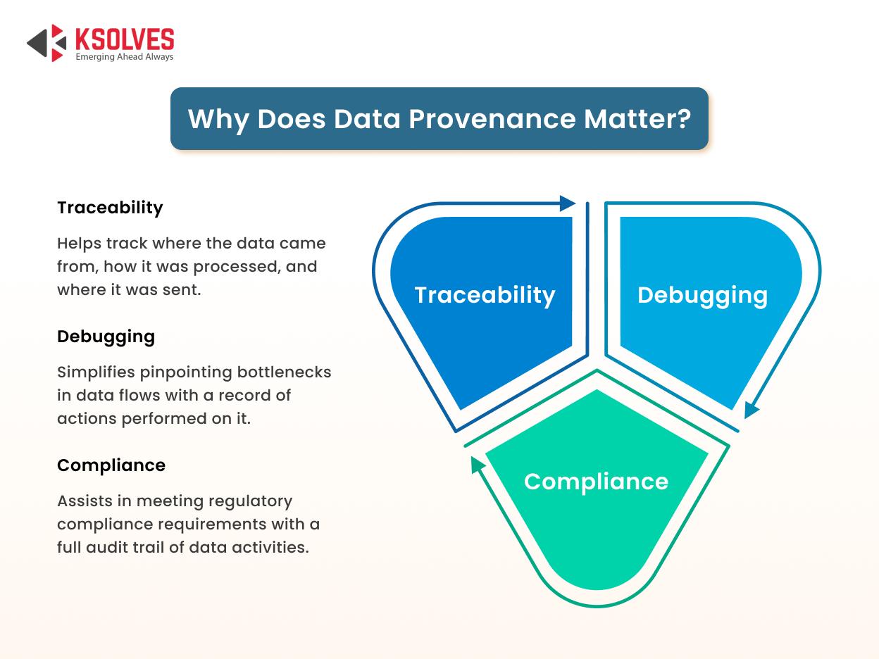 Why Does Data Provenance Matter