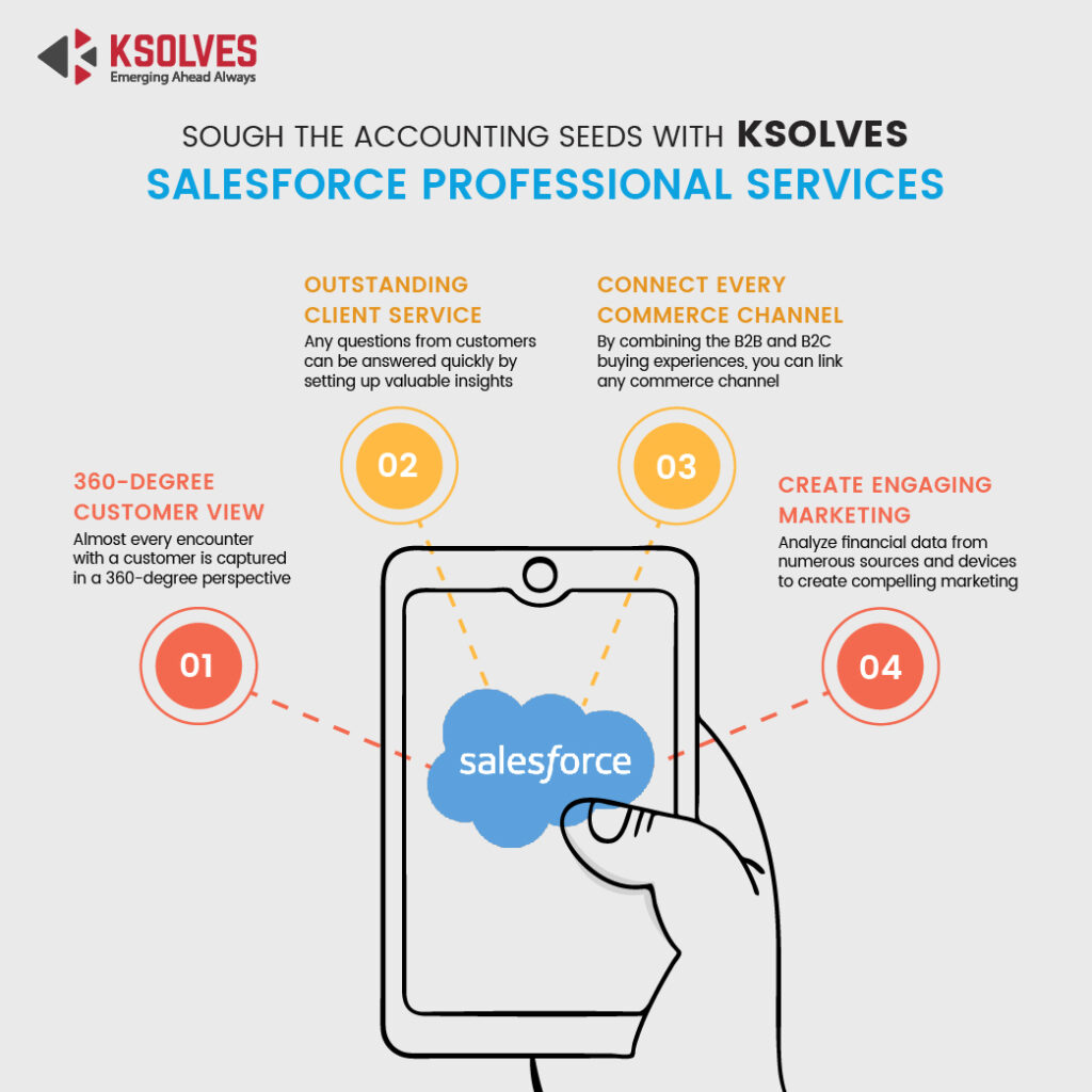 Sough The Accounting Seeds With Ksolves' Salesforce Professional Services- Infographic